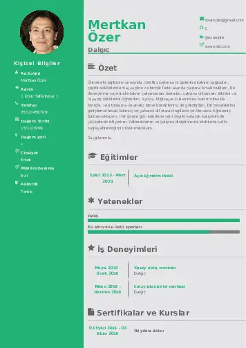 Dalgıç CV Örnekleri cv indir